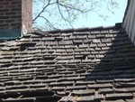 The cedar shingles on the roof of Sands Ring homestead need to be replaced.