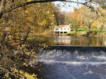 Fall landscape