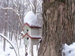 Snow on the birdhouse.  Photo by Kathi Ellick.