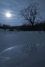 Pond in Moonlight.  Photo by Tom Doyle.