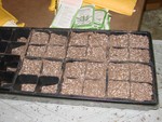 A tray of seed mixture in containers