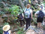 Join the Hudson River Ramble Hikes this weekend.