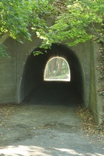 The Tunnel.  Photo by Maureen Moore.