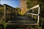 Bridge to An Autumn Morning. Photo by Tom Doyle.