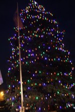 The village tree decked out for the holidays.