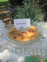 Winner Nectarine Plum Pie by Francine Schuster
