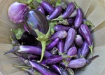 Cornwall Farmers Market