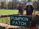 Pumpkin Festival at Hill Hold Museum.