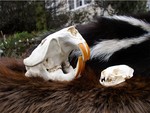 Come to the Outdoor Discovery Center for a not-so-spooky Halloween adventure on Saturday, October 27 and Sunday, October 28 from 12 p.m.-4 p.m.. Photos by Marian Goldin.