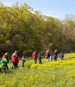 Hudson Highlands Nature Museum offers a Woodland Wildlife Hike on Saturday, November 10 at 10 a.m. Photo by George Potanovic, jr.