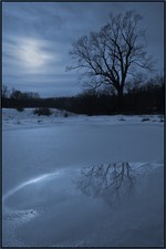 Photo by Tom Doyle. Pond in Moonlight.