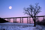 Photo by Tom Doyle. Moonset in the Valley.