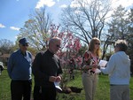 Photo by David Sirota. Cornwall Garden Club's Arbor Day planting of flowering magnolia at Sands-Ring Homestead with Councilman Al Mazzocca, Supervisor Kevin Quigley, and Chairperson Margaret Vatter.   