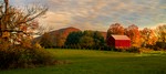 Photo by Tom Doyle. Highland Barn.