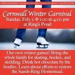 Winter Carnival on February 2, 2014