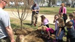 Students from COHES help plant a tree on Arbor Day.