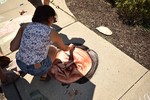 Library Chalk Art Contest. Katelyn Lipton.